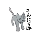 猫すけメッセージ（個別スタンプ：3）