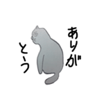 猫すけメッセージ（個別スタンプ：6）