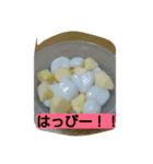 ぽっちゃんのかわいいスタンプ！（個別スタンプ：21）