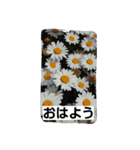ぽっちゃんのかわいいスタンプ！（個別スタンプ：23）