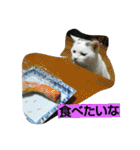 ぽっちゃんのかわいいスタンプ！（個別スタンプ：27）