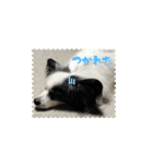 ラルくんスタンプ（個別スタンプ：14）