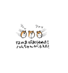 3匹のハム＝チャン（個別スタンプ：20）