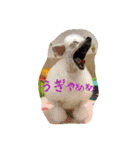 ぷるくるる（個別スタンプ：4）