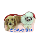 ぷるくるる（個別スタンプ：13）