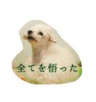 ぷるくるる（個別スタンプ：21）