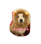 ぷるくるる（個別スタンプ：26）