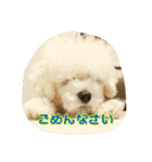 ぷるくるる（個別スタンプ：38）