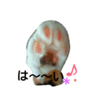 スタンプめいちゃん（個別スタンプ：8）
