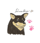 新GALMOJI（個別スタンプ：26）