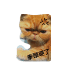 Po＆di（個別スタンプ：1）