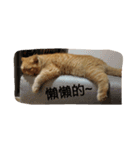 Po＆di（個別スタンプ：7）