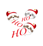 Shih Tzu Dog- FiFi: Merry Christmas（個別スタンプ：13）