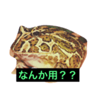 G.hirotyan（個別スタンプ：5）