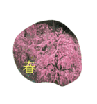 花、花いろ（個別スタンプ：3）
