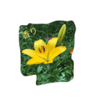 花、花いろ（個別スタンプ：7）