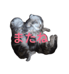 にゃんこの日常会話(関西弁)（個別スタンプ：24）