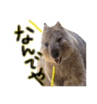 animals#（個別スタンプ：2）