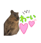 animals#（個別スタンプ：4）