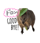 animals#（個別スタンプ：5）