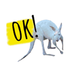 animals#（個別スタンプ：7）
