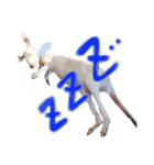 animals#（個別スタンプ：10）