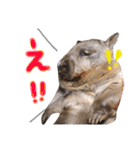 animals#（個別スタンプ：11）