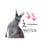 animals#（個別スタンプ：12）