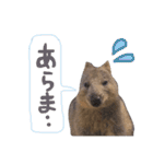 animals#（個別スタンプ：15）