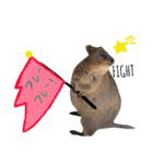 animals#（個別スタンプ：16）