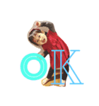 so  cute！！（個別スタンプ：11）