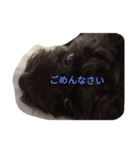 suustamp（個別スタンプ：4）
