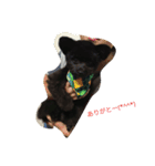 suustamp（個別スタンプ：9）