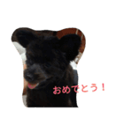 suustamp（個別スタンプ：11）