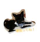 suustamp（個別スタンプ：15）