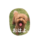 山本もん吉（個別スタンプ：3）