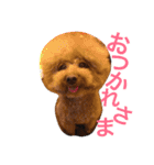 山本もん吉（個別スタンプ：4）