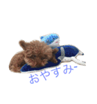 山本もん吉（個別スタンプ：5）