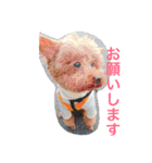 山本もん吉（個別スタンプ：17）