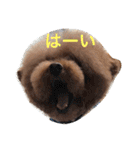 山本もん吉（個別スタンプ：18）