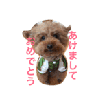 山本もん吉（個別スタンプ：30）