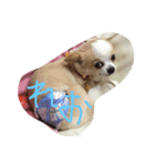 maron_leo（個別スタンプ：1）