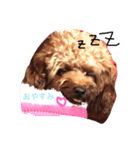 Lovely my dog！！MOG（個別スタンプ：3）