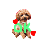 Lovely my dog！！MOG（個別スタンプ：6）