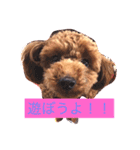 Lovely my dog！！MOG（個別スタンプ：7）
