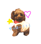 Lovely my dog！！MOG（個別スタンプ：14）