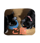 きにゃる（個別スタンプ：9）