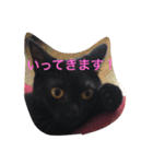 きにゃる（個別スタンプ：14）
