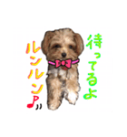 どこでもモア〜1（個別スタンプ：1）