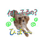 どこでもモア〜1（個別スタンプ：2）